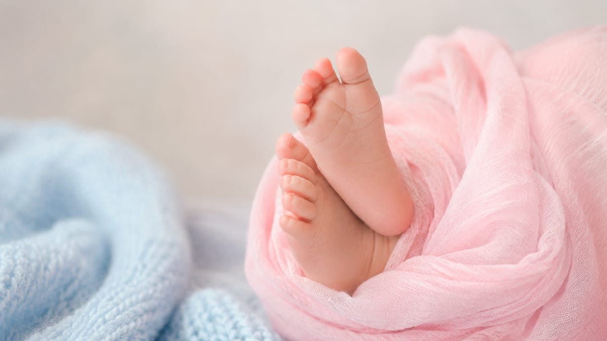 Ilustrasi panduan Bayi Baru Lahir